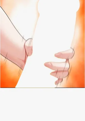 第529頁圖