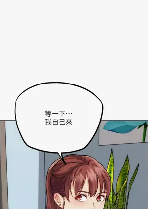 第636頁圖
