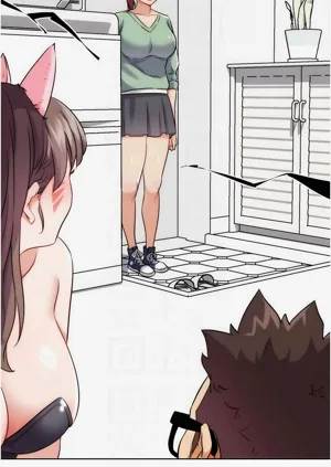 第685頁圖