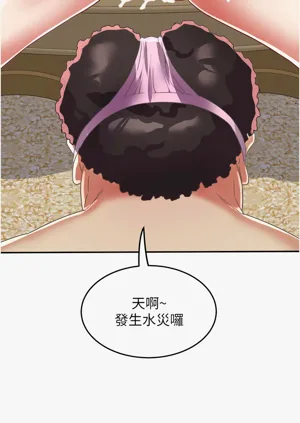 第243頁圖