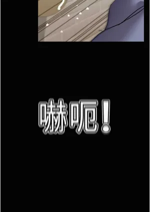 第303頁圖