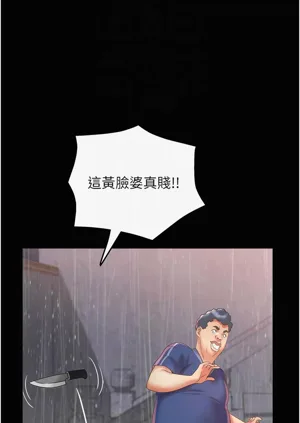 第313頁圖
