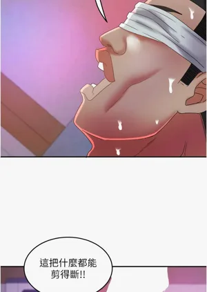 第393頁圖
