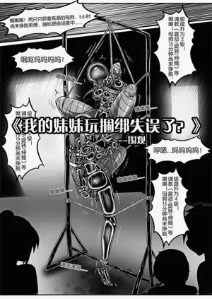 第455页图