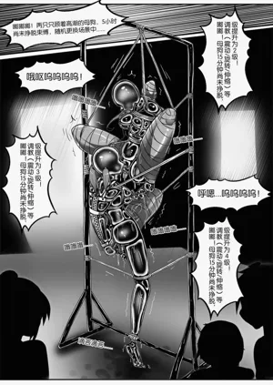 第462页图