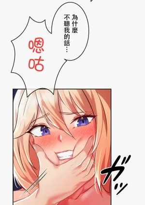第41頁圖