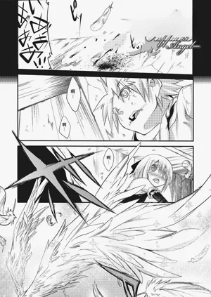 第164頁圖