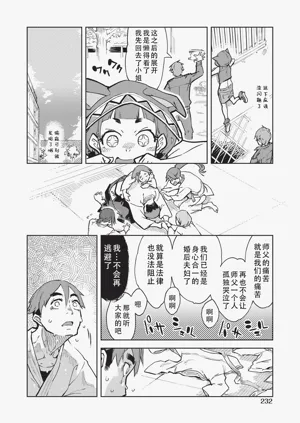 第233页图