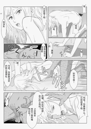 第17頁圖