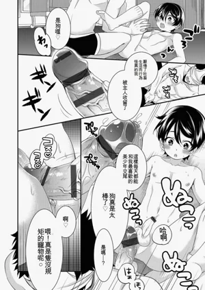 第156頁圖