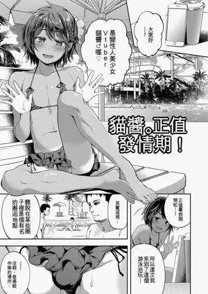 第23頁圖