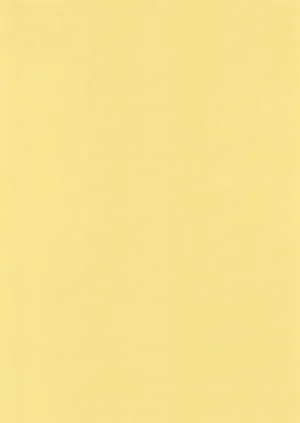 第38頁圖