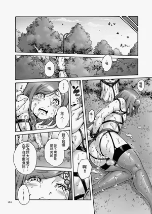 第162页图