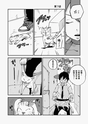 第223页图