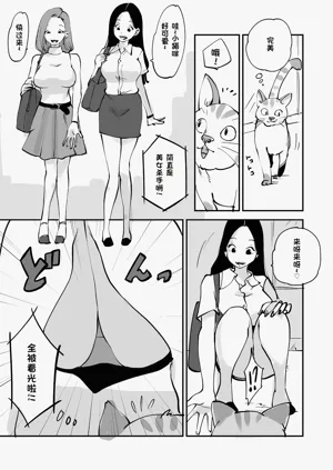 第224页图
