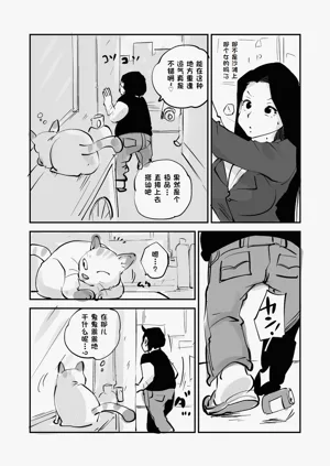 第237页图