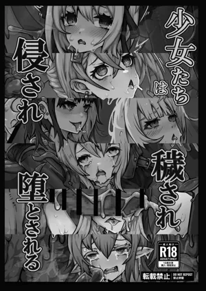 第2页图