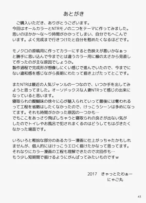第43页图