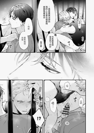 第81頁圖