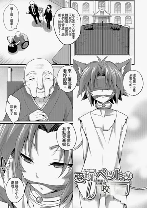 第148頁圖
