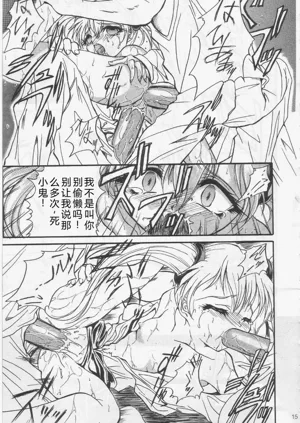 第14页图