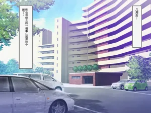 第80頁圖