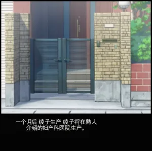 第229页图
