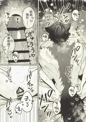 第25頁圖