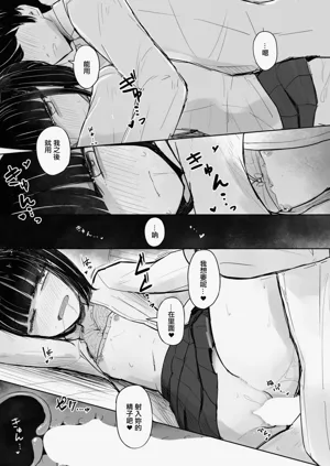 第17页图
