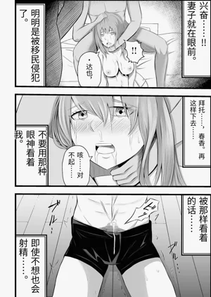 第33页图