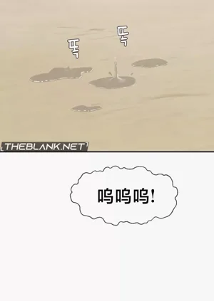 第453页图