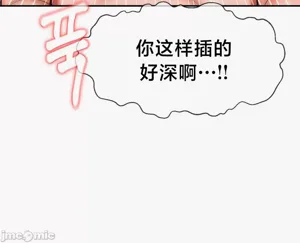 第494页图