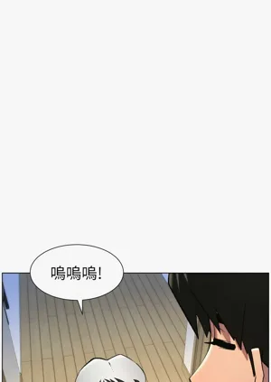 第148頁圖