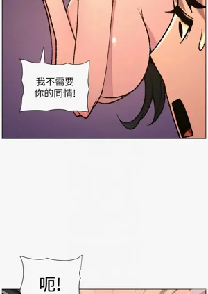 第242頁圖
