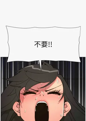 第247頁圖