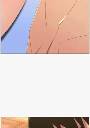 第272頁圖