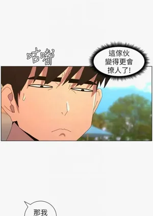 第274頁圖