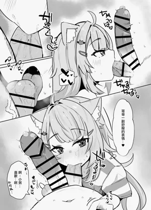 第8页图