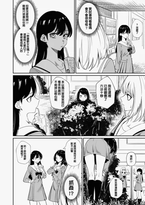 第39頁圖