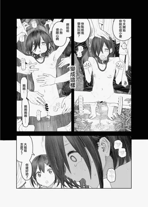 第29頁圖