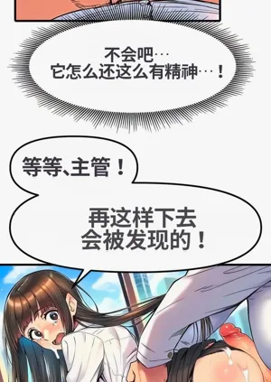 第11页图