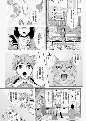 第94頁圖