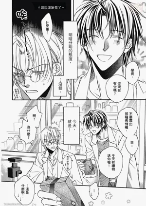 第42頁圖