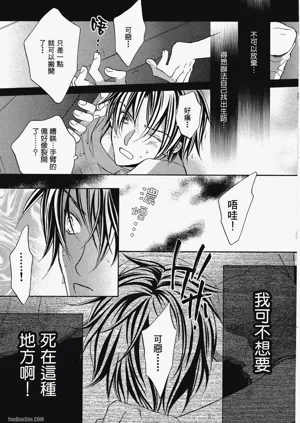 第111頁圖