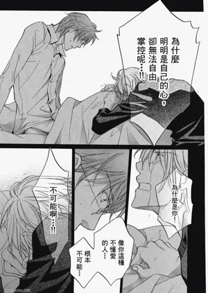 第213頁圖