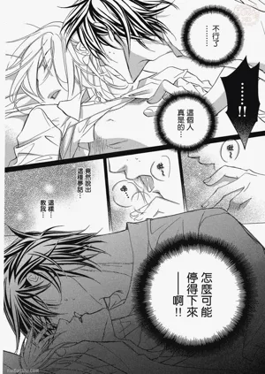 第28頁圖