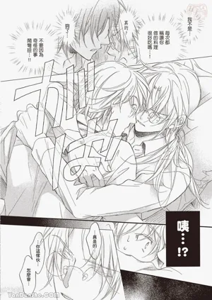 第106页图