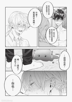 第101頁圖