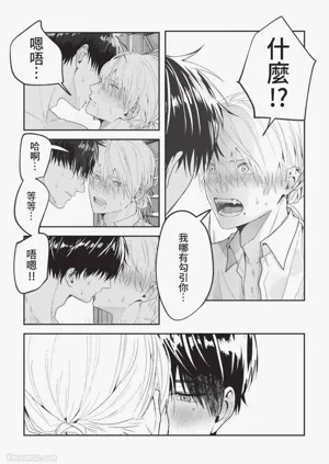 第105頁圖