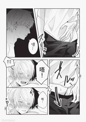 第106頁圖